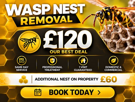 Wasp nest removal Β£120, same day service, 1 visit guaranteed, domestic and commercial, additional nest on property Β£60