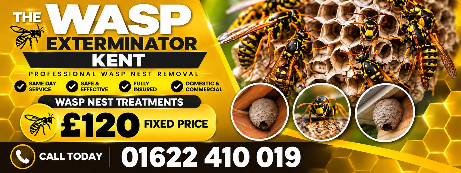 Wasp Exterminator Kent, professional wasp nest removal, same day service, Β£120 fixed price, call 01622 410 019